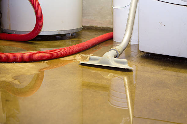 Best 24-hour water damage restoration  in Bright, IN